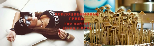 скорость Бородино
