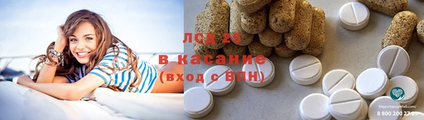 ПСИЛОЦИБИНОВЫЕ ГРИБЫ Богданович