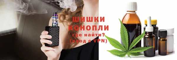 ПСИЛОЦИБИНОВЫЕ ГРИБЫ Богданович