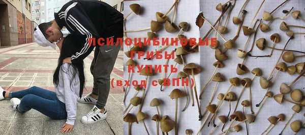 гашиш Богородицк