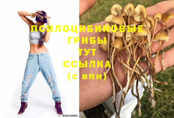 гашиш Богородицк