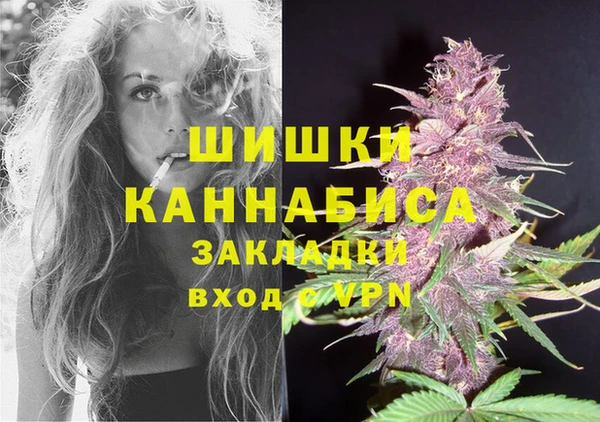 ПСИЛОЦИБИНОВЫЕ ГРИБЫ Богданович