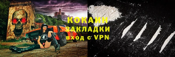 ПСИЛОЦИБИНОВЫЕ ГРИБЫ Богданович