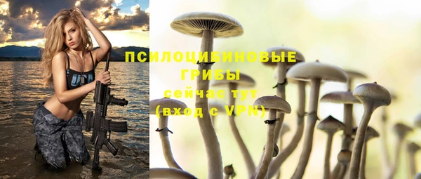 ПСИЛОЦИБИНОВЫЕ ГРИБЫ Богданович
