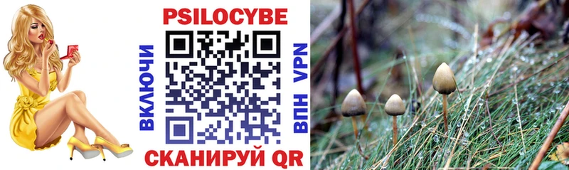 Псилоцибиновые грибы мухоморы  Купить где  Лодейное Поле 